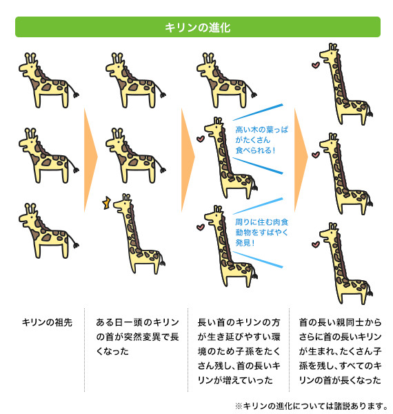 キリンの進化